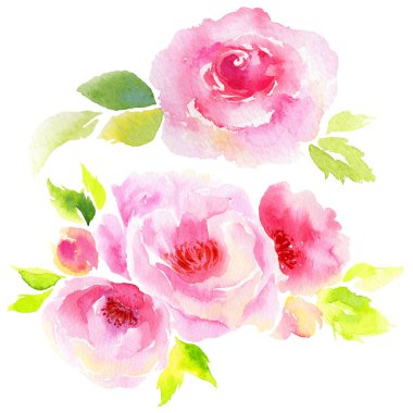 Kır çiçeği eustoma çiçek izole bir suluboya tarzında.