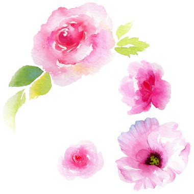 Kır çiçeği eustoma çiçek izole bir suluboya tarzında.