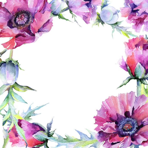 Poppy flowers frame