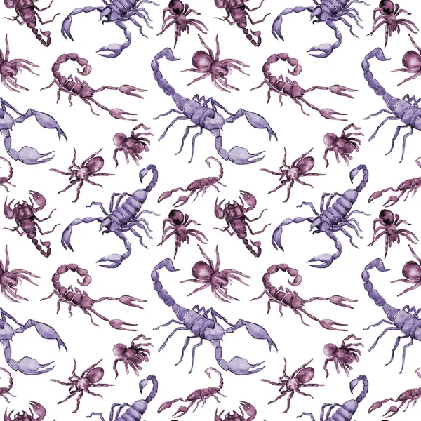 Exotic scorpion wild insect pattern in a watercolor style. — Stock Photo, Image