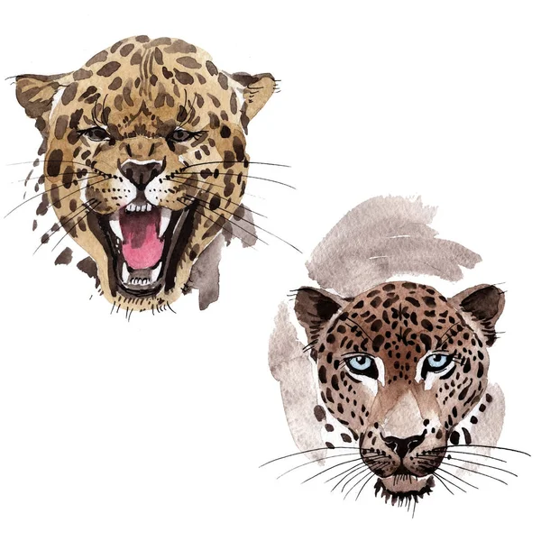 Экзотический леопард в акварельном стиле — стоковое фото