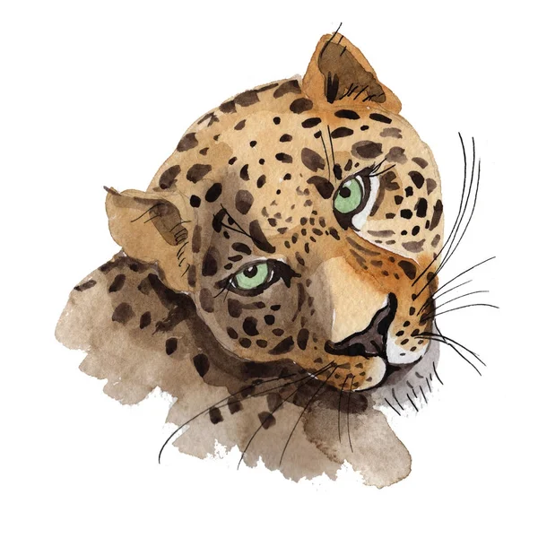 Leopardo exótico em um estilo aquarela — Fotografia de Stock