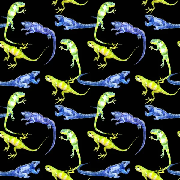 Exotic iguanas pattern — Stock Photo, Image