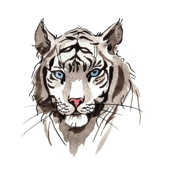 Exotische tiger in een aquarel stijl — Stockfoto