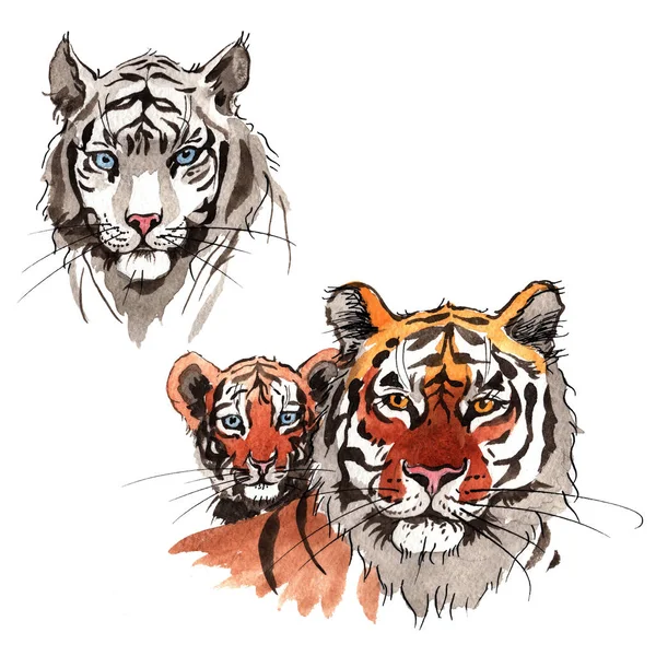 Εξωτικά τίγρη σε στυλ υδροχρώματος — Φωτογραφία Αρχείου