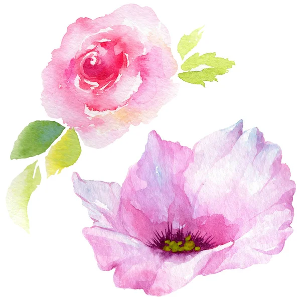 Wildblume Eustoma Blume in einem Aquarell-Stil isoliert. — Stockfoto