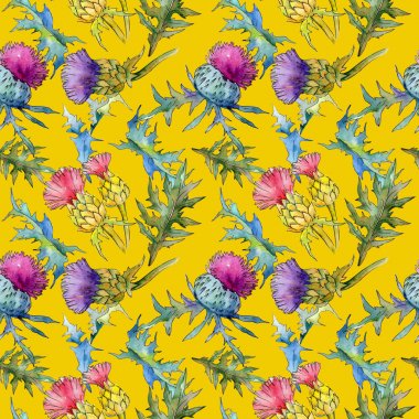 Kır çiçeği thistle çiçek deseni suluboya tarzında.