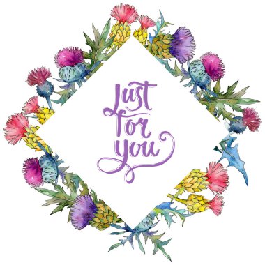 Kır çiçeği thistle çiçek çerçeve suluboya tarzında.