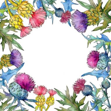 Kır çiçeği thistle çiçek çerçeve suluboya tarzında.