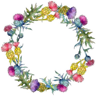 Kır çiçeği thistle çiçek çelenk suluboya tarzında.