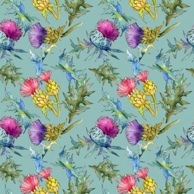 Kır çiçeği thistle çiçek deseni suluboya tarzında.