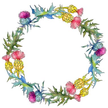 Kır çiçeği thistle çiçek çelenk suluboya tarzında.