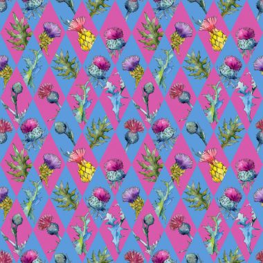 Kır çiçeği thistle çiçek deseni suluboya tarzında.