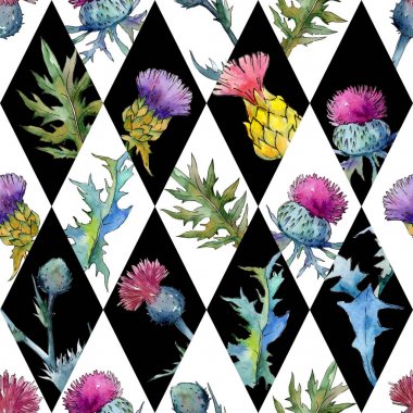 Kır çiçeği thistle çiçek deseni suluboya tarzında.