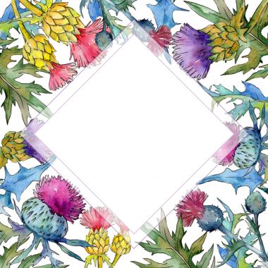 Kır çiçeği thistle çiçek çerçeve suluboya tarzında.