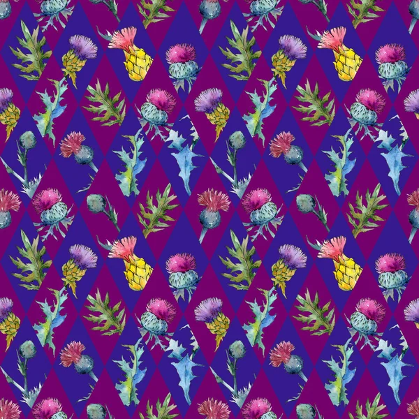 Wildflower thistle flower pattern in a watercolor style. — Stock Photo, Image