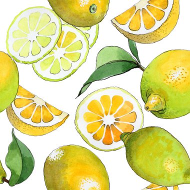 Egzotik limon yabani meyve deseni suluboya tarzında.