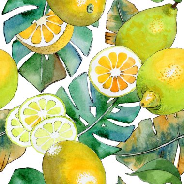 Egzotik limon yabani meyve deseni suluboya tarzında.