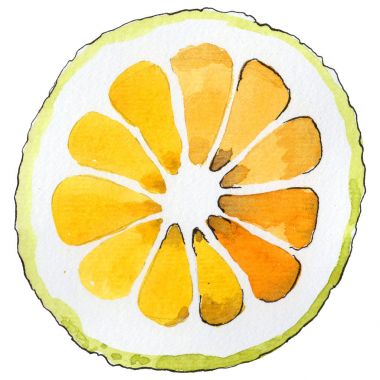 Egzotik limon yabani meyve izole bir suluboya tarzında.