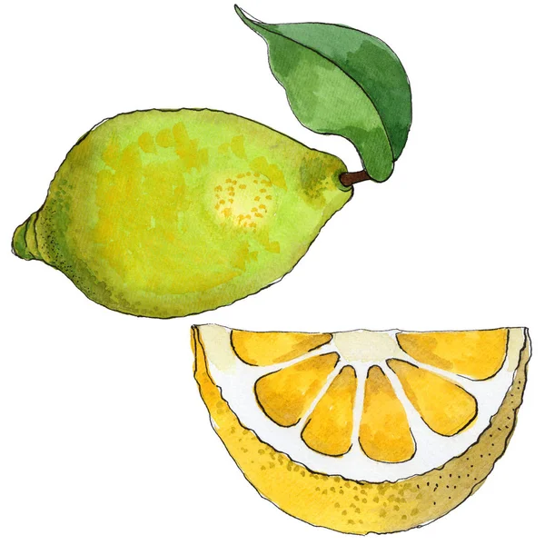 Fruta silvestre de limón exótica en un estilo acuarela aislado . — Foto de Stock