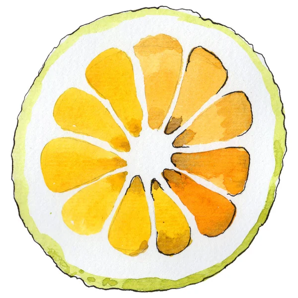异国情调柠檬野生水果的水彩风格孤立. — 图库照片