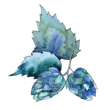 Kır çiçeği atlama çiçek izole bir suluboya tarzında.