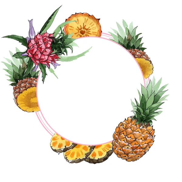 Cadre exotique ananas fruits sauvages dans un style aquarelle . — Photo