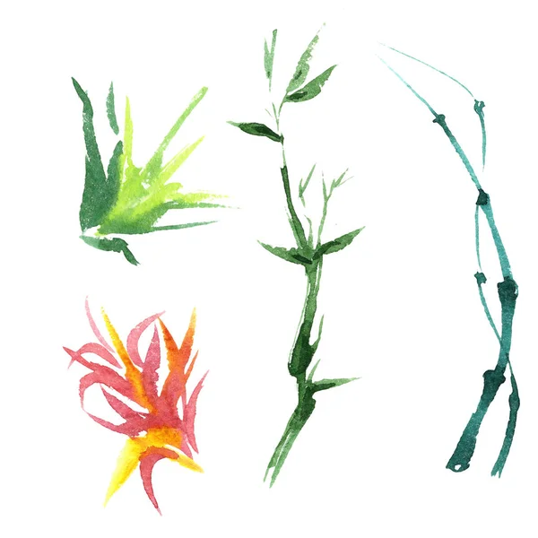 分離された水彩画の熱帯の竹. — ストック写真