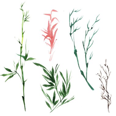 Bir suluboya tarzında izole tropikal bambu.