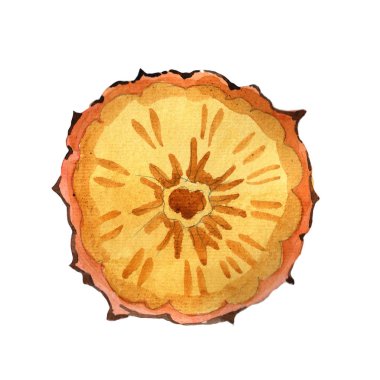 Egzotik ananas yabani meyve izole bir suluboya tarzında.