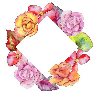 Kır çiçeği begonia çiçek çerçeve suluboya tarzında.