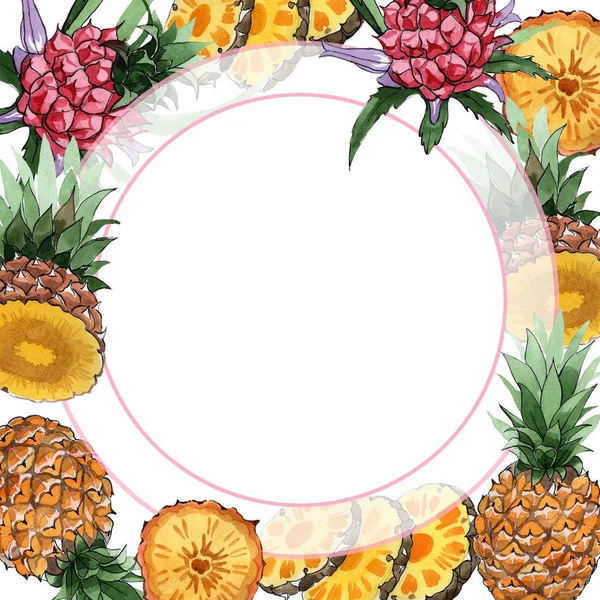 Exotic pineapple wild fruit frame in a watercolor style.