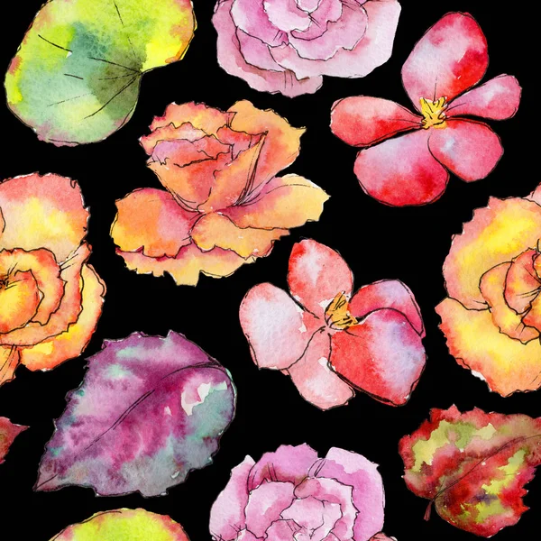 分離された水彩画のワイルドフラワー ベゴニアの花. — ストック写真