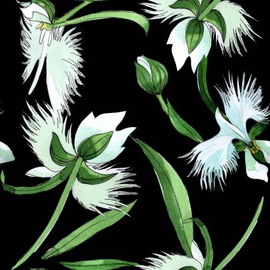 Kır çiçeği orkide çiçek deseni suluboya tarzında.