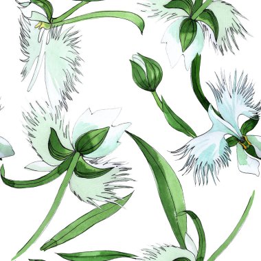 Kır çiçeği orkide çiçek deseni suluboya tarzında.