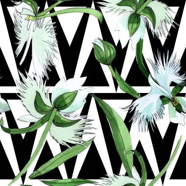 Kır çiçeği orkide çiçek deseni suluboya tarzında.