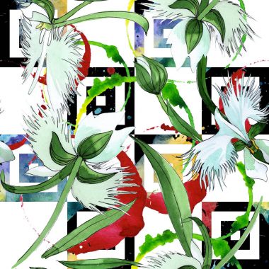 Kır çiçeği orkide çiçek deseni suluboya tarzında.