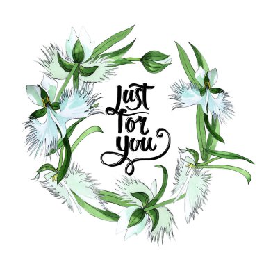 Kır çiçeği orkide çiçek çelenk suluboya tarzında.