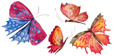 Egzotik kelebek vahşi böcek izole bir suluboya tarzında.