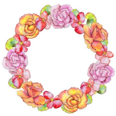 Kır çiçeği begonia çiçek çelenk suluboya tarzında.