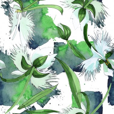 Kır çiçeği orkide çiçek deseni suluboya tarzında.