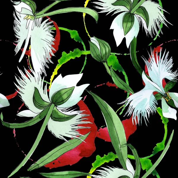 Kır çiçeği orkide çiçek deseni suluboya tarzında.