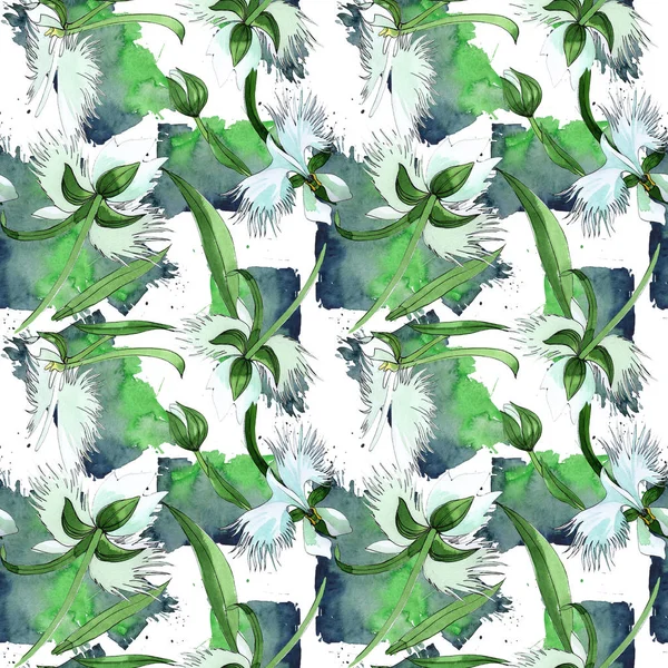 Kır çiçeği orkide çiçek deseni suluboya tarzında.