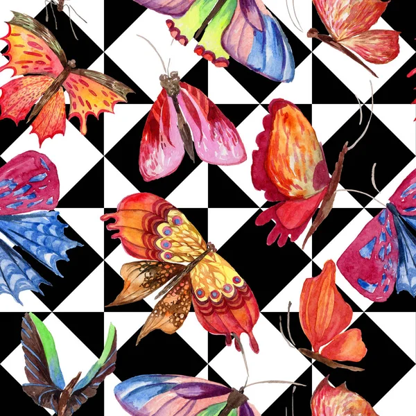 充满异国情调的蝴蝶野生昆虫图案以水彩风格. — 图库照片