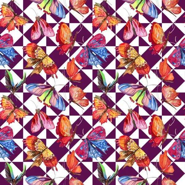 Modello esotico di insetti selvatici a farfalla in stile acquerello . — Foto Stock