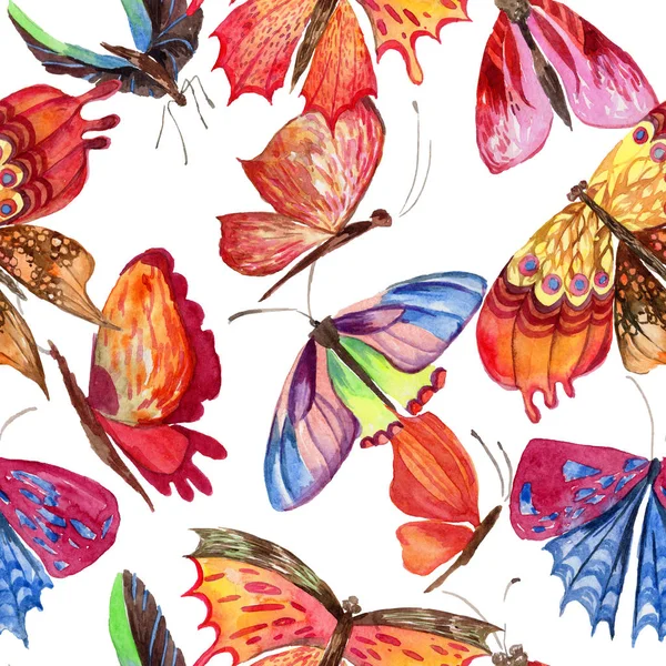 Egzotikus pillangó vadon élő rovarok minta akvarell stílusú. — Stock Fotó