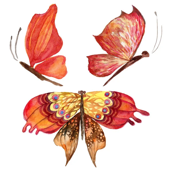 Egzotikus pillangó vadon élő rovarok elszigetelt akvarell stílusú. — Stock Fotó