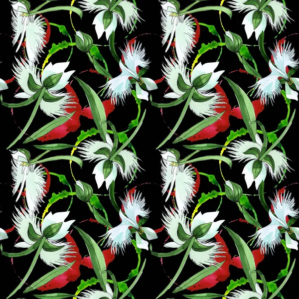 수채화 스타일에 야생화 난초 꽃 패턴. — 스톡 사진