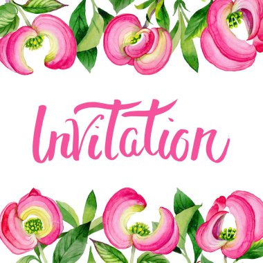 Kır çiçeği cornos Florida çiçek çerçeve suluboya tarzında.