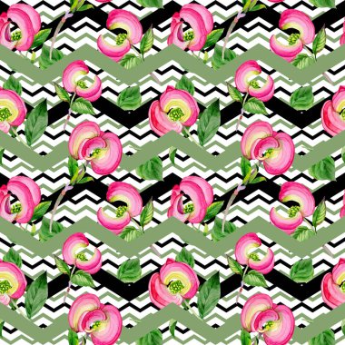 Kır çiçeği cornos Florida çiçek deseni suluboya tarzında.